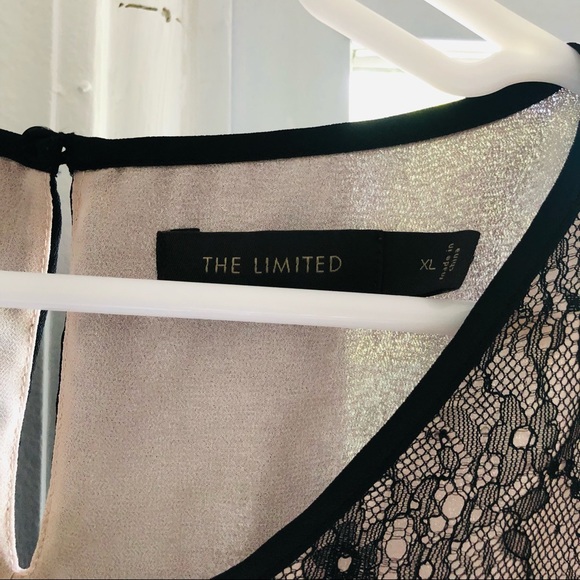 Black stripe and lace Top from The Limited - Picture 5 of 5